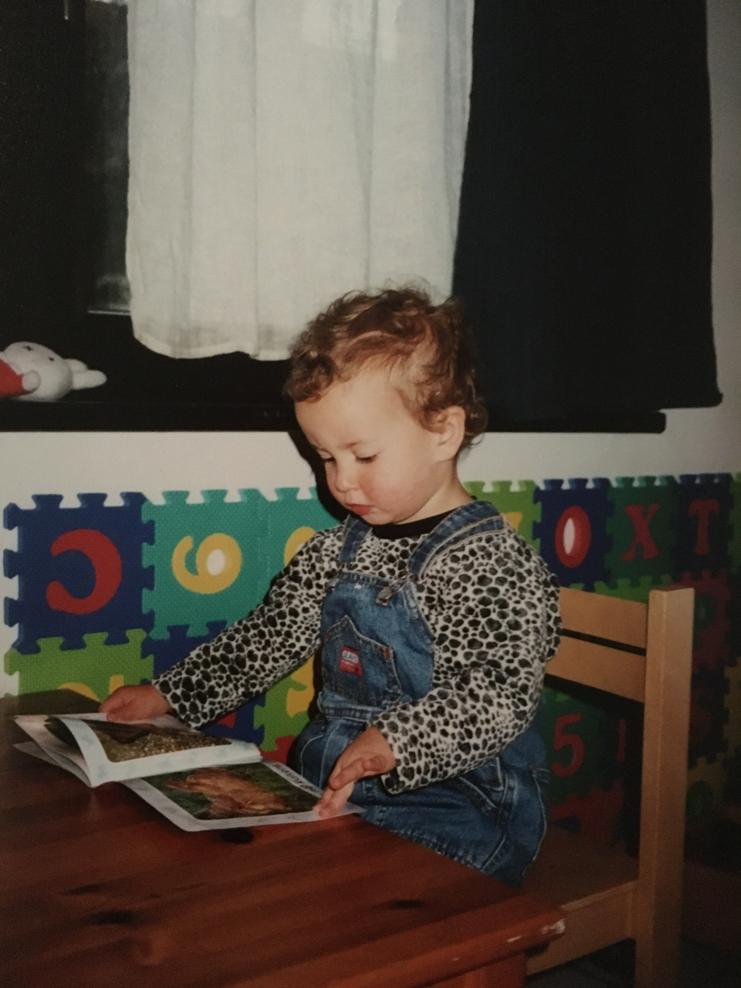 mijn literaire reis