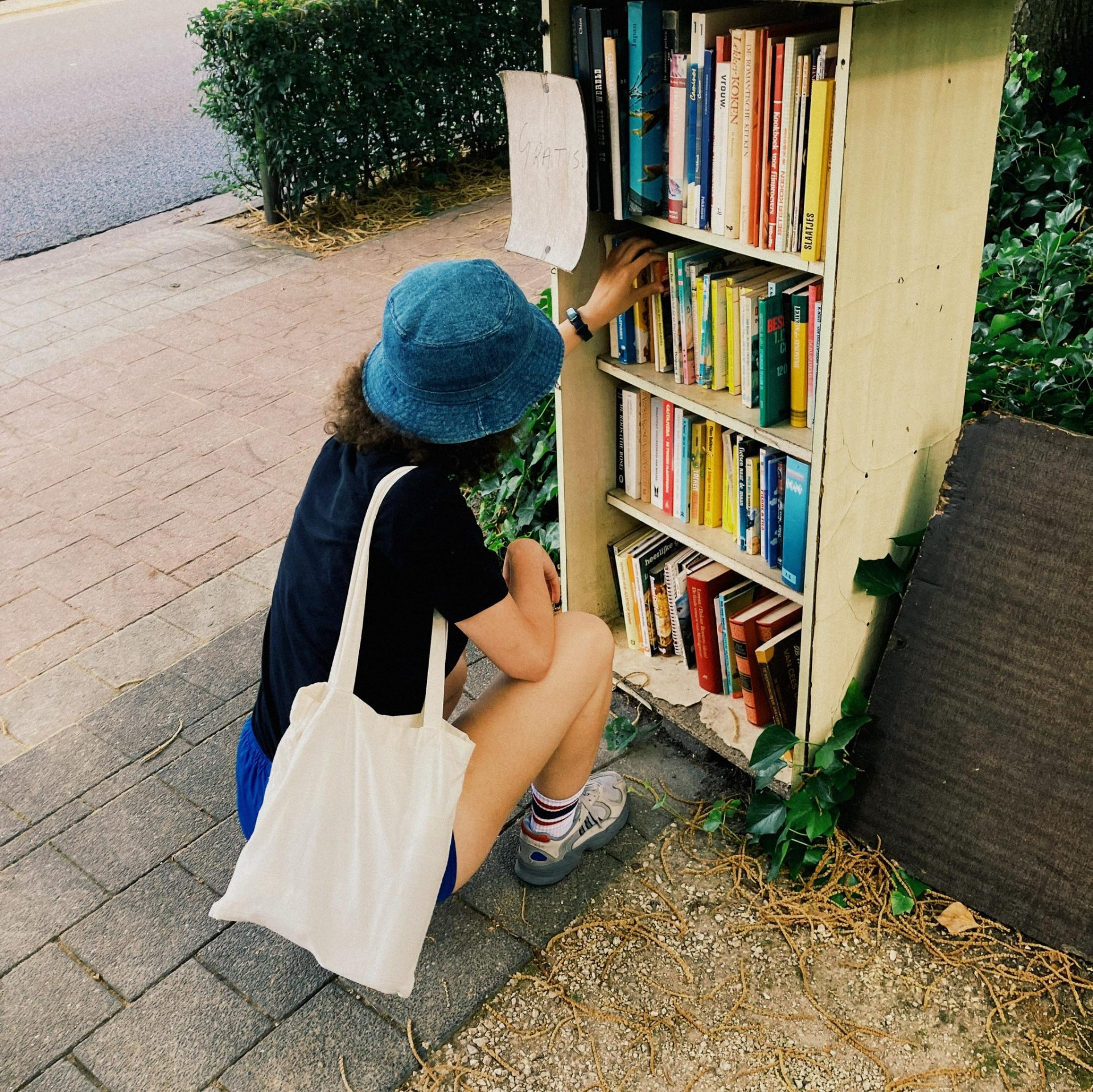 boeken zoeken